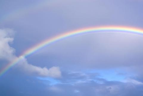 Pegue uns pedacinhos de afeto e de ilusão …