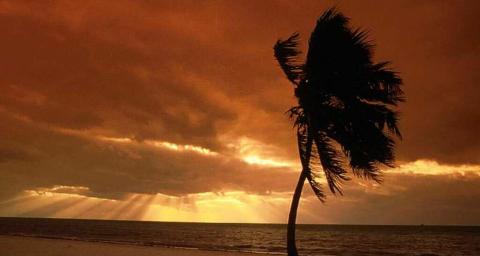 Sinta o vento tocar teu rosto